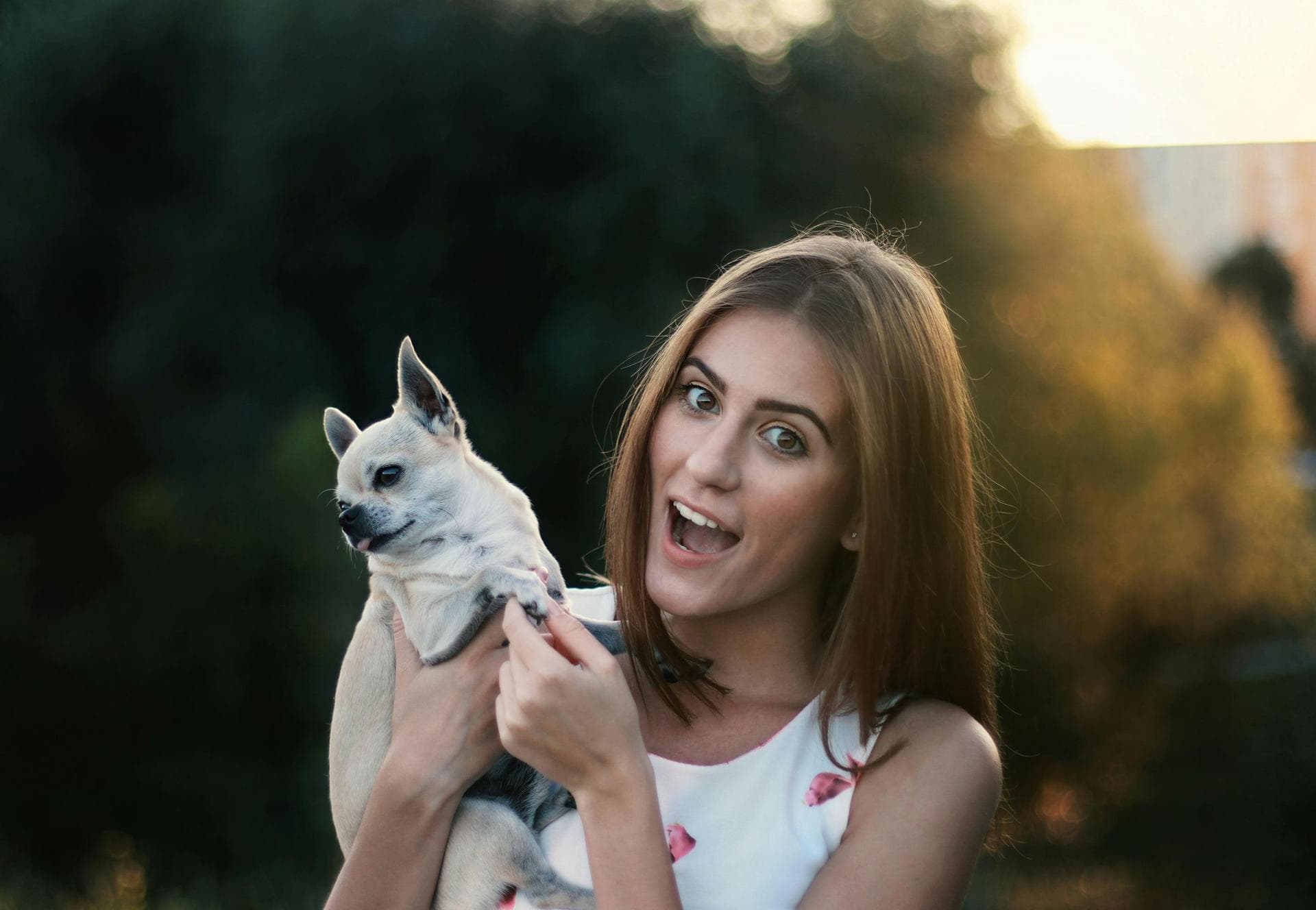 Dog & Cat Vets in Mapleton