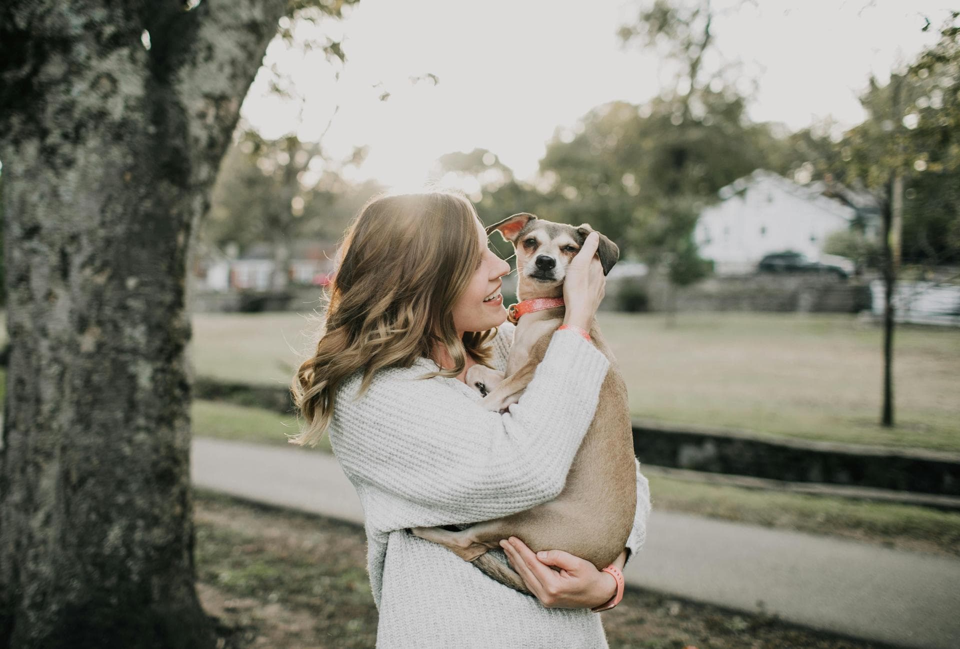 Dog & Cat Vets in Murray