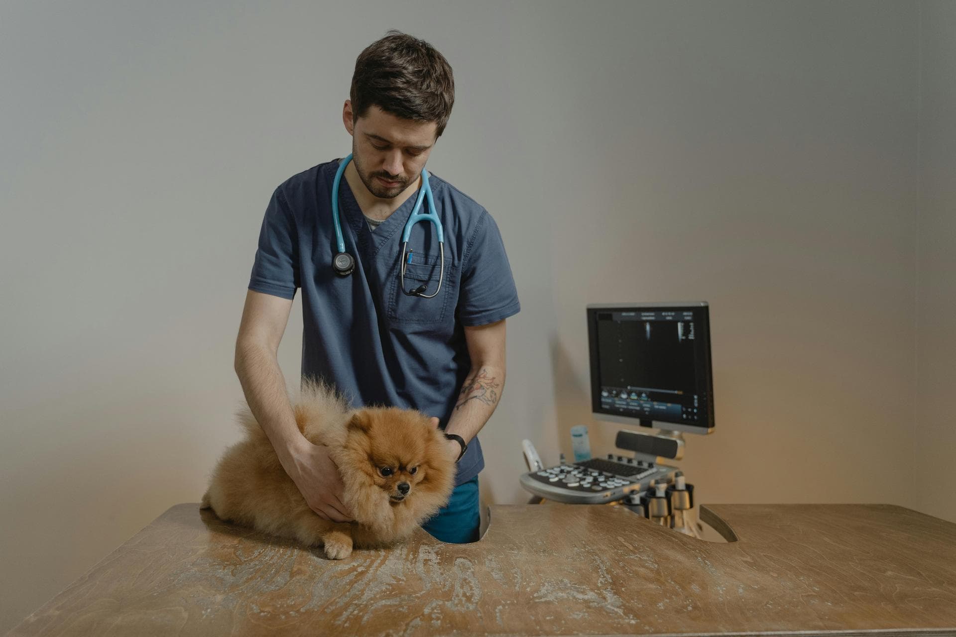 Dog & Cat Vets in Roosevelt