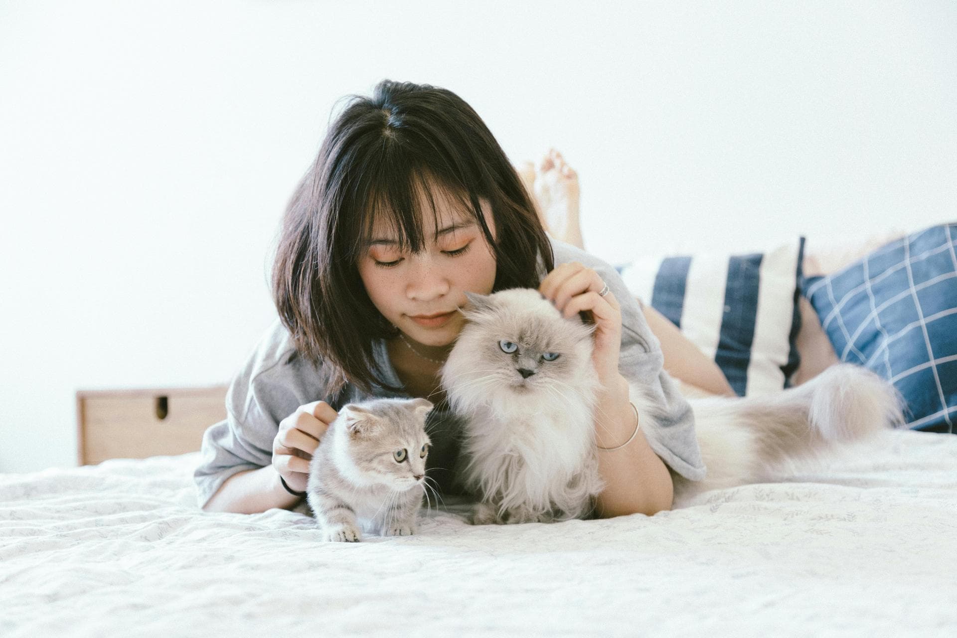 Dog & Cat Vets in Holladay